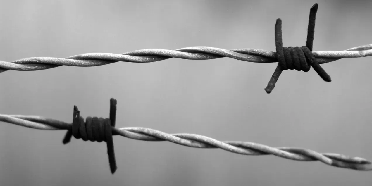 From barbed wire to engineered obstacles